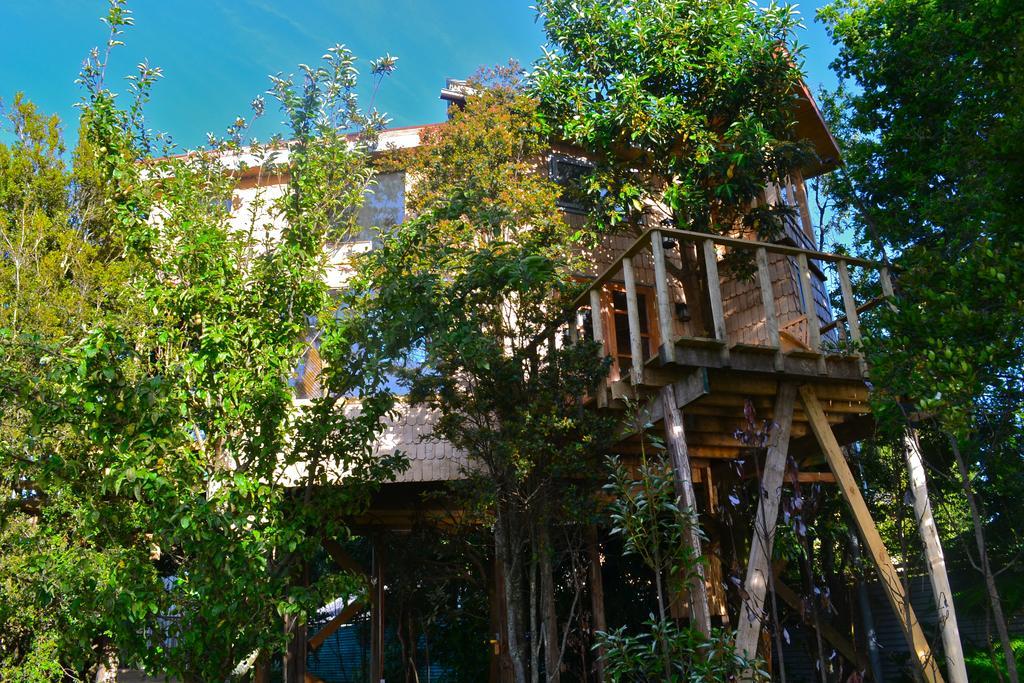 La Casa Del Arbol De Chiloe Villa Castro Værelse billede