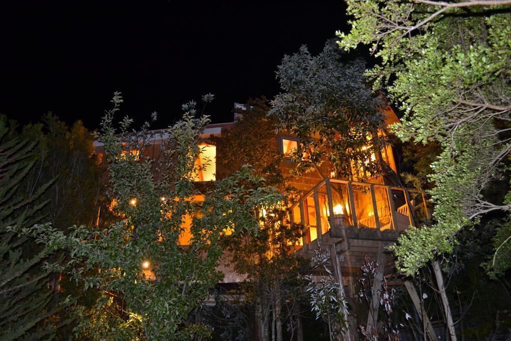 La Casa Del Arbol De Chiloe Villa Castro Eksteriør billede