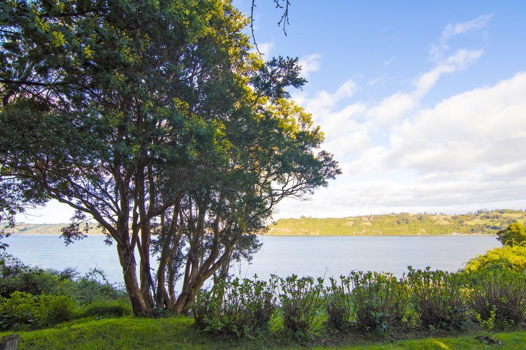 La Casa Del Arbol De Chiloe Villa Castro Eksteriør billede