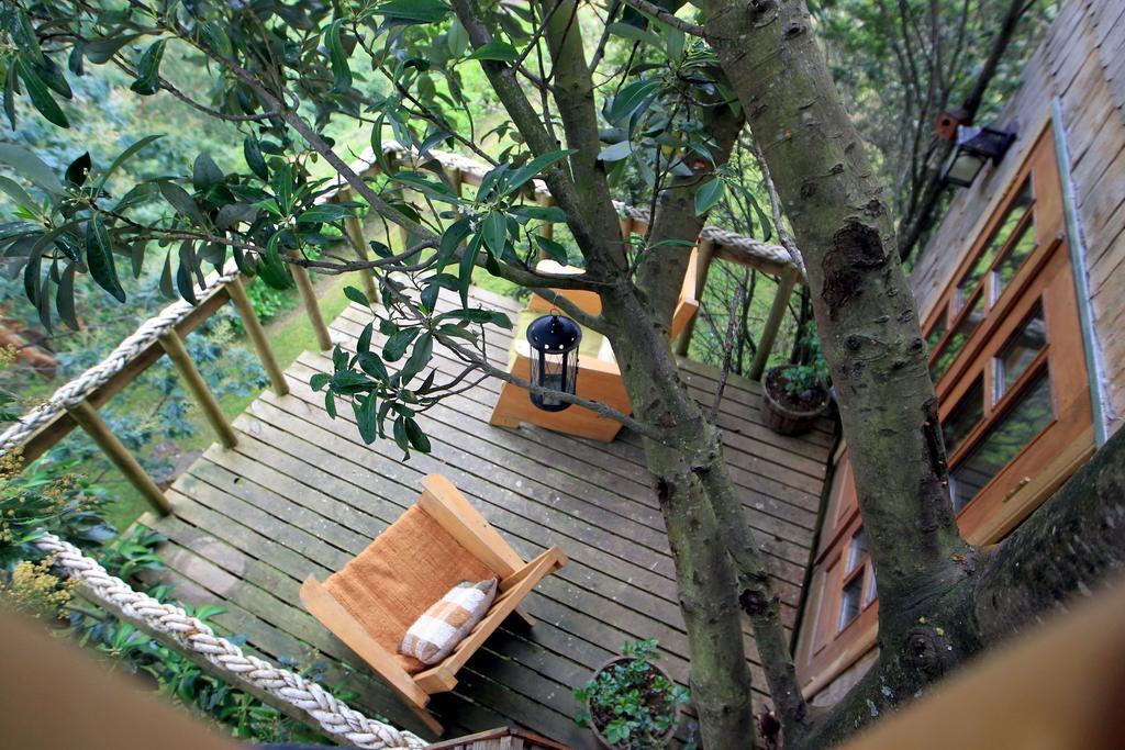 La Casa Del Arbol De Chiloe Villa Castro Eksteriør billede